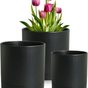 8/7/6 inch Plant Pots, 3 Set Cylinder Flower Pots for Outdoor Indoor Plants, Decorative Plastic Planters with Drainage Holes and Saucers for Garden House Plants, Black