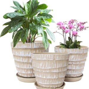 Plant Pots Indoor 7.5/6.5/5.5 Inch Set of 3 Plastic Planters for Indoor Plants with Drainage Hole and Saucer, Plastic Flower Pots, Nursery Planting Pot for Out Door Plants