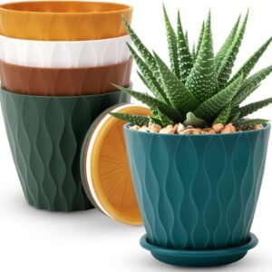 6 inch Plant Pots, 5 Pack Flower Pots Outdoor Indoor, Planters with Drainage Holes and Tray Saucers（Multicolor）