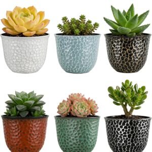 Plastic Round 8 Inch Planters for Indoor Plants Set of 6 Outdoor Resin Flower Pots Colorful with Drainage Hole Rubber Plug Retro Appearance Home Christmas Decorative Containers Multicolor